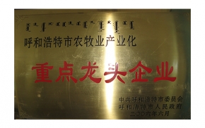 重點龍頭企業(yè)