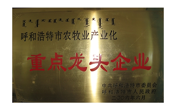 重點(diǎn)龍頭企業(yè)